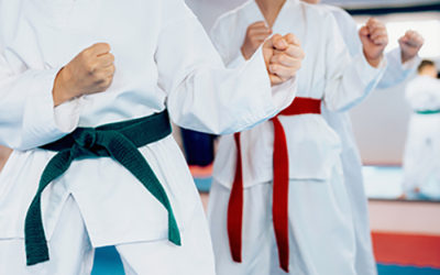 Tipos de karate: ¿Cuál se adapta mejor a mi hijo?