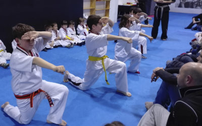 El Karate y sus beneficios en los niños