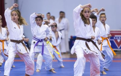 ¿Cómo se puede promover el deporte en los niños?