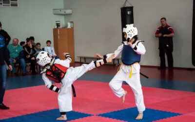 Tipos de patadas en el TAEKWONDO